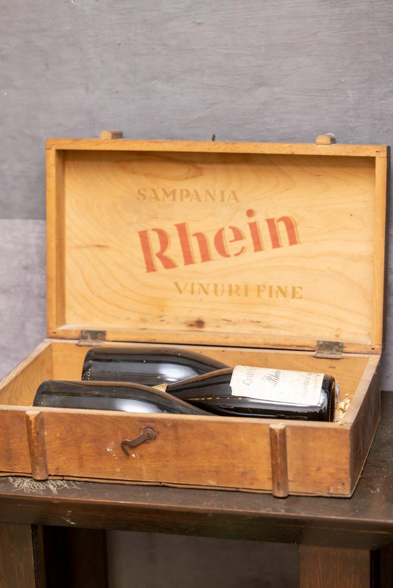 Pensiunea Rhein อาซูกา ภายนอก รูปภาพ