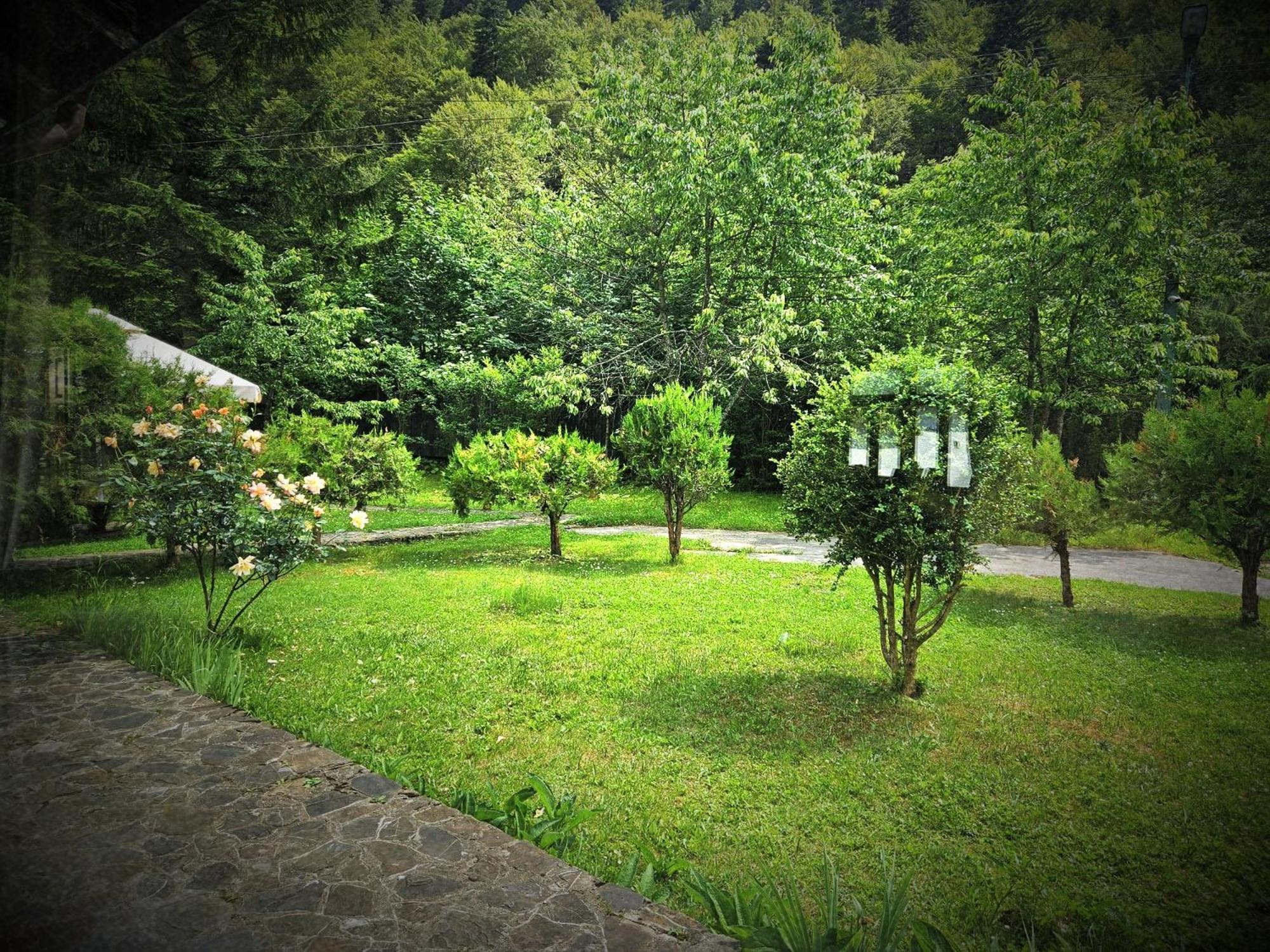 Pensiunea Rhein อาซูกา ภายนอก รูปภาพ